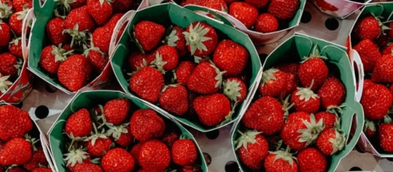 Αυτά είναι τα οφέλη που έχουν οι φράουλες για τον οργανισμό